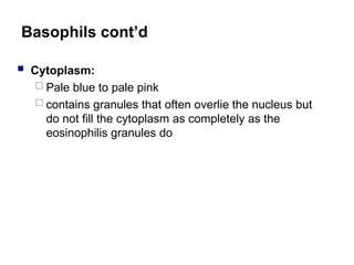Basophils cont’d
 Cytoplasm:
 Pale blue to pale pink
 contains granules that often overlie the nucleus but
do not fill the cytoplasm as completely as the
eosinophilis granules do
 