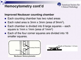 Hemocytometry cont’d
Improved Neubauer counting chamber
 Each counting chamber has two ruled areas
 Each ruled area is 3mm x 3mm (area of 9mm2).
 Each chamber is divided into 9 large squares – each
square is 1mm x 1mm (area of 1mm2)
 Each of the four corner squares are divided into 16
smaller squares.
 