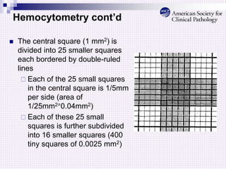 Hemocytometry cont’d
 The central square (1 mm2) is
divided into 25 smaller squares
each bordered by double-ruled
lines
 Each of the 25 small squares
in the central square is 1/5mm
per side (area of
1/25mm2=0.04mm2)
 Each of these 25 small
squares is further subdivided
into 16 smaller squares (400
tiny squares of 0.0025 mm2)
 