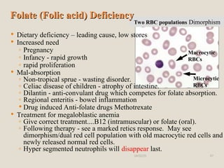 Hema II Chapter 2_Anemia morphology .ppt