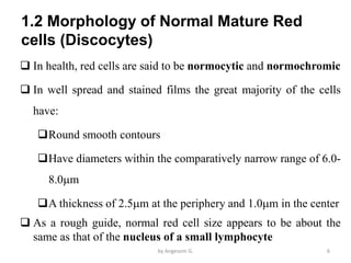 Red Periphery Hema II Chapter 2_RBC morphology study_AG.pdf