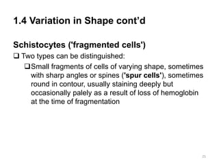 1.4 Variation in Shape cont’d
Schistocytes ('fragmented cells')
 Two types can be distinguished:
Small fragments of cells of varying shape, sometimes
with sharp angles or spines ('spur cells'), sometimes
round in contour, usually staining deeply but
occasionally palely as a result of loss of hemoglobin
at the time of fragmentation
25
 