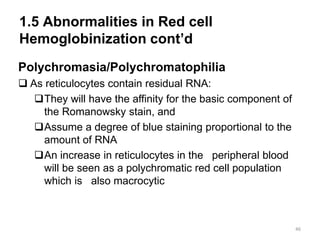 1.5 Abnormalities in Red cell
Hemoglobinization cont’d
Polychromasia/Polychromatophilia
 As reticulocytes contain residual RNA:
They will have the affinity for the basic component of
the Romanowsky stain, and
Assume a degree of blue staining proportional to the
amount of RNA
An increase in reticulocytes in the peripheral blood
will be seen as a polychromatic red cell population
which is also macrocytic
46
 
