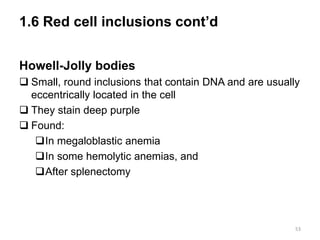 1.6 Red cell inclusions cont’d
Howell-Jolly bodies
 Small, round inclusions that contain DNA and are usually
eccentrically located in the cell
 They stain deep purple
 Found:
In megaloblastic anemia
In some hemolytic anemias, and
After splenectomy
53
 