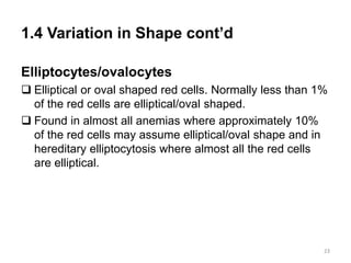 1.4 Variation in Shape cont’d
Elliptocytes/ovalocytes
 Elliptical or oval shaped red cells. Normally less than 1%
of the red cells are elliptical/oval shaped.
 Found in almost all anemias where approximately 10%
of the red cells may assume elliptical/oval shape and in
hereditary elliptocytosis where almost all the red cells
are elliptical.
23
 