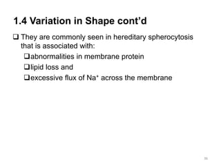 1.4 Variation in Shape cont’d
 They are commonly seen in hereditary spherocytosis
that is associated with:
abnormalities in membrane protein
lipid loss and
excessive flux of Na+ across the membrane
36
 