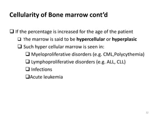 Hema II Chapter 7_BM examination.ppt