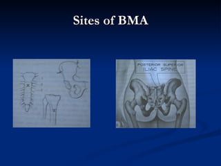 Hema intro anemia | PPT