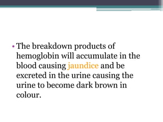 • The breakdown products of
hemoglobin will accumulate in the
blood causing jaundice and be
excreted in the urine causing the
urine to become dark brown in
colour.
 