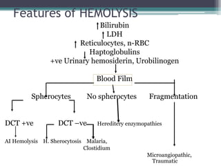 Features of HEMOLYSIS
Bilirubin
LDH
Reticulocytes, n-RBC
Haptoglobulins
+ve Urinary hemosiderin, Urobilinogen
Blood Film
Spherocytes No spherocytes Fragmentation
DCT +ve DCT –ve Hereditery enzymopathies
AI Hemolysis H. Sherocytosis Malaria,
Clostidium
Microangiopathic,
Traumatic
 