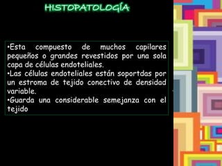 HISTOPATOLOGÍA
•Esta compuesto de muchos capilares
pequeños o grandes revestidos por una sola
capa de células endoteliales.
•Las células endoteliales están soportdas por
un estroma de tejido conectivo de densidad
variable.
•Guarda una considerable semejanza con el
tejido
 