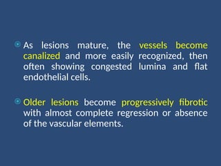  As lesions mature, the vessels become
canalized and more easily recognized, then
often showing congested lumina and flat
endothelial cells.
 Older lesions become progressively fibrotic
with almost complete regression or absence
of the vascular elements.
 