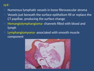 H/F-
- Numerous lymphatic vessels in loose fibrovascular stroma
- Vessels just beneath the surface epithelium fill or replace the
CT papillae, producing the surface change
- Hemangiolymphangioma- channels filled with blood and
lymph
- Lymphangiomyoma- associated with smooth muscle
component
 