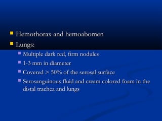  Hemothorax and hemoabomenHemothorax and hemoabomen
 Lungs:Lungs:
 Multiple dark red, firm nodulesMultiple dark red, firm nodules
 1-3 mm in diameter1-3 mm in diameter
 Covered > 50% of the serosal surfaceCovered > 50% of the serosal surface
 Serosanguinous fluid and cream colored foam in theSerosanguinous fluid and cream colored foam in the
distal trachea and lungsdistal trachea and lungs
 