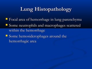 Lung HistopathologyLung Histopathology
 Focal area of hemorrhage in lung parenchymaFocal area of hemorrhage in lung parenchyma
 Some neutrophils and macrophages scatteredSome neutrophils and macrophages scattered
within the hemorrhagewithin the hemorrhage
 Some hemosiderophages around theSome hemosiderophages around the
hemorrhagic areahemorrhagic area
 