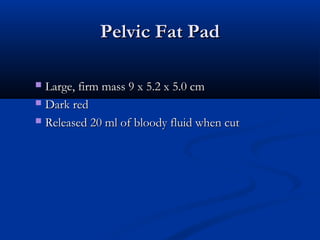 Pelvic Fat PadPelvic Fat Pad
 Large, firm mass 9 x 5.2 x 5.0 cmLarge, firm mass 9 x 5.2 x 5.0 cm
 Dark redDark red
 Released 20 ml of bloody fluid when cutReleased 20 ml of bloody fluid when cut
 