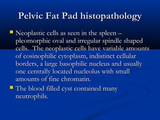 Pelvic Fat Pad histopathologyPelvic Fat Pad histopathology
 Neoplastic cells as seen in the spleen –Neoplastic cells as seen in the spleen –
pleomorphic oval and irregular spindle shapedpleomorphic oval and irregular spindle shaped
cells. The neoplastic cells have variable amountscells. The neoplastic cells have variable amounts
of eosinophilic cytoplasm, indistinct cellularof eosinophilic cytoplasm, indistinct cellular
borders, a large basophilic nucleus and usuallyborders, a large basophilic nucleus and usually
one centrally located nucleolus with smallone centrally located nucleolus with small
amounts of fine chromatin.amounts of fine chromatin.
 The blood filled cyst contained manyThe blood filled cyst contained many
neutrophils.neutrophils.
 
