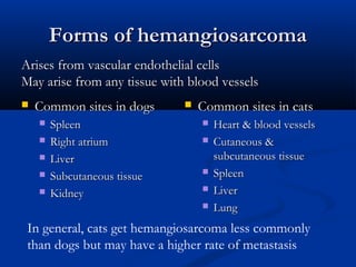 Forms of hemangiosarcomaForms of hemangiosarcoma
 Common sites in dogsCommon sites in dogs
 SpleenSpleen
 Right atriumRight atrium
 LiverLiver
 Subcutaneous tissueSubcutaneous tissue
 KidneyKidney
 Common sites in catsCommon sites in cats
 Heart & blood vesselsHeart & blood vessels
 Cutaneous &Cutaneous &
subcutaneous tissuesubcutaneous tissue
 SpleenSpleen
 LiverLiver
 LungLung
Arises from vascular endothelial cellsArises from vascular endothelial cells
May arise from any tissue with blood vesselsMay arise from any tissue with blood vessels
In general, cats get hemangiosarcoma less commonly
than dogs but may have a higher rate of metastasis
 
