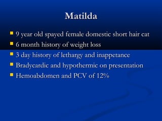 MatildaMatilda
 9 year old spayed female domestic short hair cat9 year old spayed female domestic short hair cat
 6 month history of weight loss6 month history of weight loss
 3 day history of lethargy and inappetance3 day history of lethargy and inappetance
 Bradycardic and hypothermic on presentationBradycardic and hypothermic on presentation
 Hemoabdomen and PCV of 12%Hemoabdomen and PCV of 12%
 