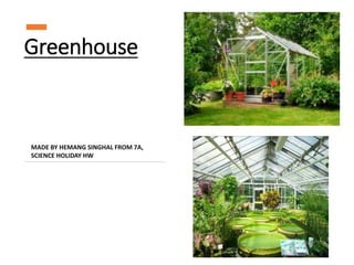 Greenhouse
MADE BY HEMANG SINGHAL FROM 7A,
SCIENCE HOLIDAY HW
 