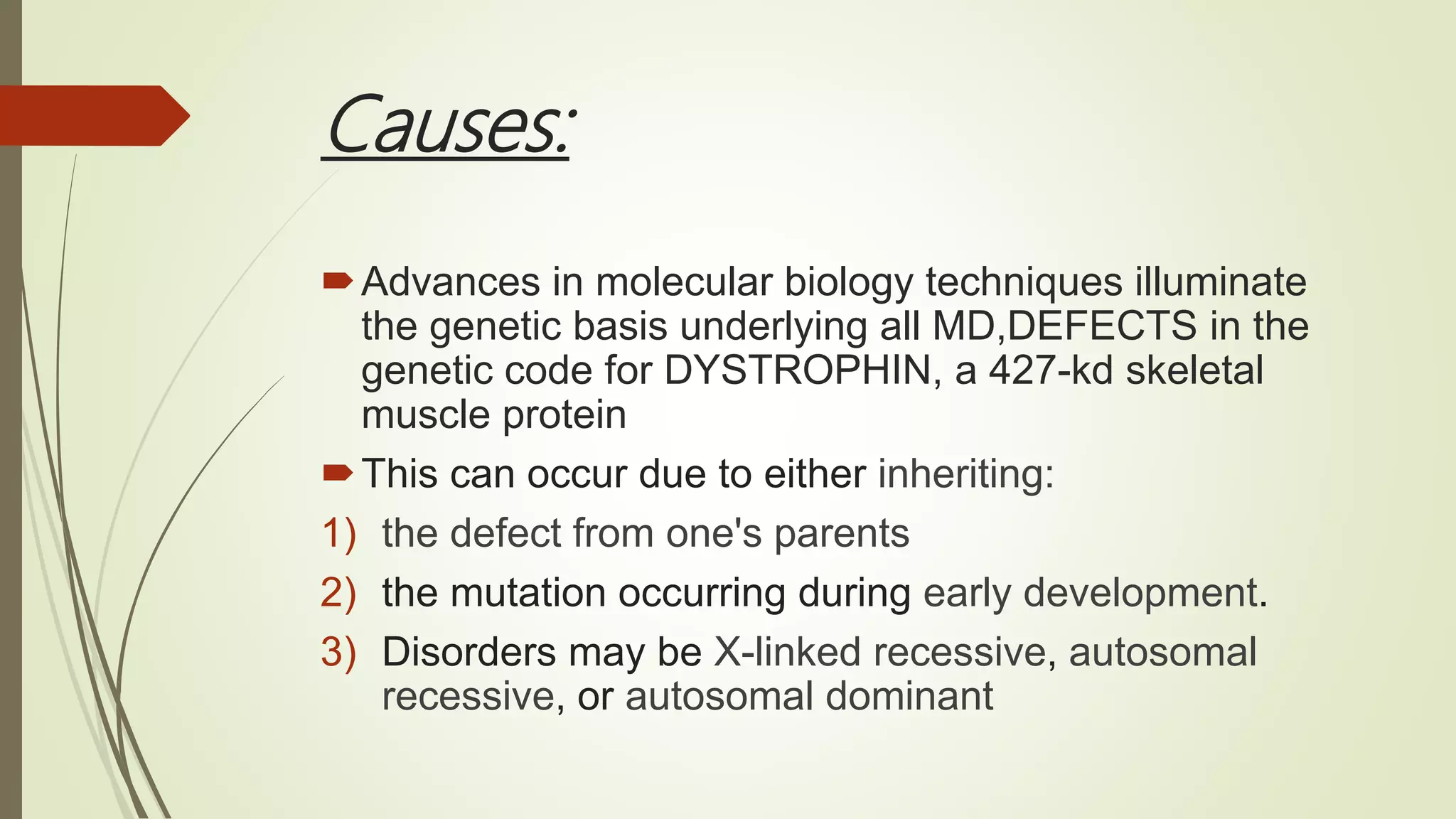 Causes:
Advances in molecular biology techniques illuminate
the genetic basis underlying all MD,DEFECTS in the
genetic code for DYSTROPHIN, a 427-kd skeletal
muscle protein
This can occur due to either inheriting:
1) the defect from one's parents
2) the mutation occurring during early development.
3) Disorders may be X-linked recessive, autosomal
recessive, or autosomal dominant
 