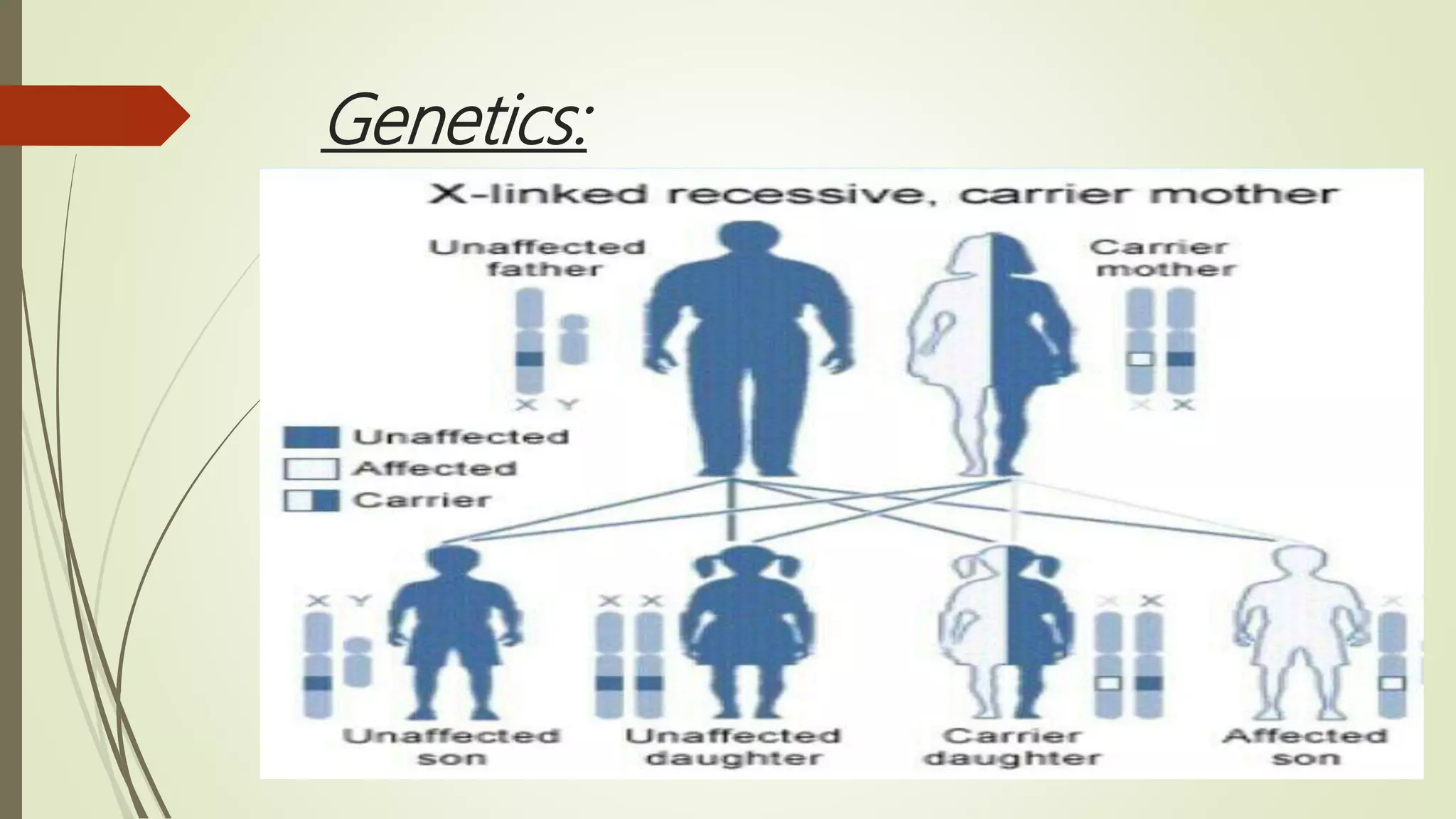 Genetics:
 