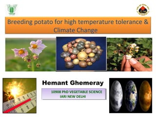 Breeding potato for high temperature tolerance &
Climate Change
Hemant Ghemeray
10908 PhD VEGETABLE SCIENCE
IARI NEW DELHI
10908 PhD VEGETABLE SCIENCE
IARI NEW DELHI
1
 