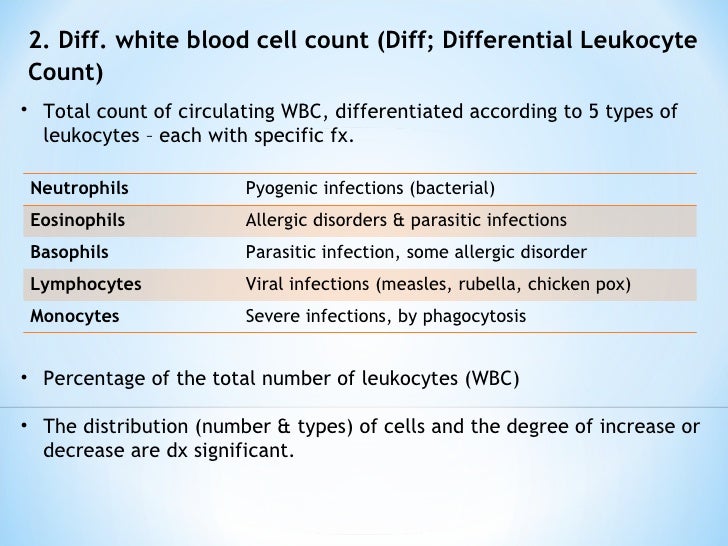 high white blood cell count in dogs white blood cell count high white blood cell count in dogs white blood cell count