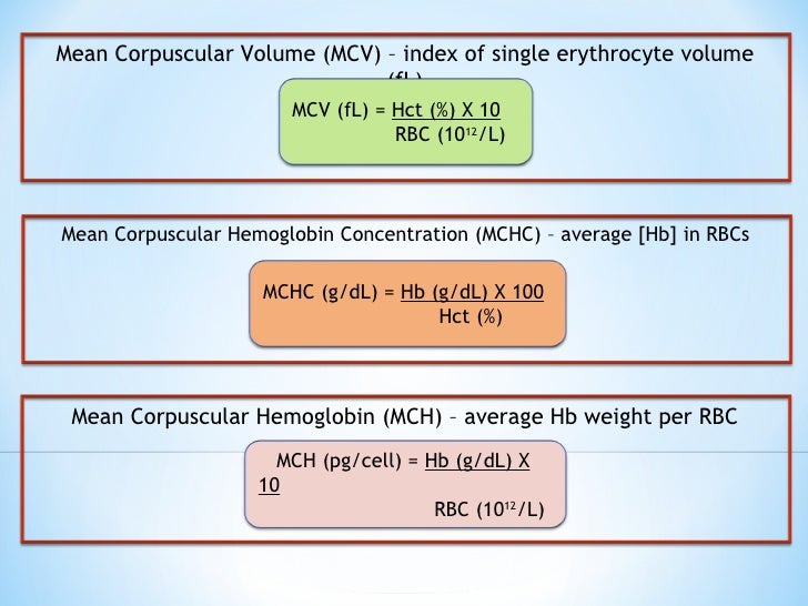 Hema practical 02 hematology