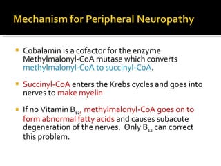 Cobalamin is a cofactor for the enzyme Methylmalonyl-CoA mutase which converts  methylmalonyl-CoA to succinyl-CoA .  Succinyl-CoA  enters the Krebs cycles and goes into nerves to  make myelin .  If no Vitamin B 12 , methylmalonyl-CoA goes on to form abnormal fatty acids  and causes subacute degeneration of the nerves.  Only B 12  can correct this problem.  