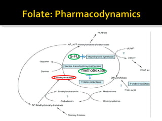 5-FU methotrexate 