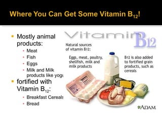 Mostly animal products: Meat  Fish Eggs Milk and Milk products like yogurt fortified with Vitamin B 12 : Breakfast Cereals Bread 