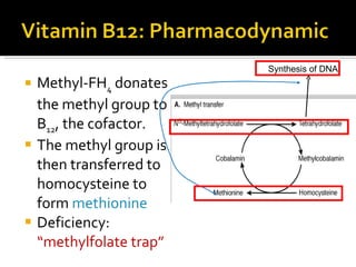 Methyl-FH 4  donates the methyl group to B 12 , the cofactor.  The methyl group is then transferred to homocysteine to form  methionine Deficiency:  “methylfolate trap” Synthesis of DNA 
