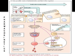 P H A R M A C O K I N E T I C S 