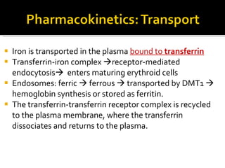Iron is transported in the plasma  bound to  transferrin T ransferrin-iron complex   receptor-mediated endocytosis    enters maturing erythroid cells   E ndosomes :  ferric    ferrous     transported by DMT1    hemoglobin synthesis or stored as ferritin.  The transferrin-transferrin receptor complex is recycled to the plasma membrane, where the transferrin dissociates and returns to the plasma. 