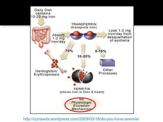 http://izzrawda.wordpress.com/2009/03/16/do-you-have-anemia/ 