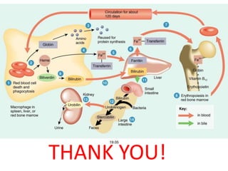 THANK YOU!
 