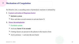 AUGUST 21, 2026 20
 Mechanism of Coagulation
For blood to clot, a cascading series of proteolytic reactions is initiated by:
1. Contact activation of Hageman factor:
 Intrinsic system
 Slow and takes several minutes to activate factor X
2. Tissue thromboplastin:
 Extrinsic system
 Activates factor X in seconds
 Clotting factors are present in the plasma in the inactive form
 Active protease → activates the next factor
 