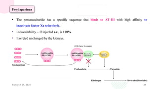 AUGUST 21, 2026 31
Fondaparinux
• The pentasaccharide has a specific sequence that binds to AT-III with high affinity to
inactivate factor Xa selectively.
• Bioavailability – If injected s.c., is 100%.
• Excreted unchanged by the kidneys.
 