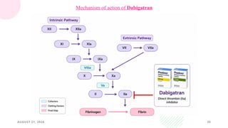 AUGUST 21, 2026 35
Mechanism of action of Dabigatran
 
