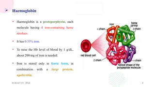 AUGUST 21, 2026 4
 Haemoglobin
• Haemoglobin is a protoporphyrin, each
molecule having 4 iron-containing heme
residues.
• It has 0.33% iron.
• To raise the Hb level of blood by 1 g/dL,
about 200 mg of iron is needed.
• Iron is stored only in ferric form, in
combination with a large protein,
apoferritin.
 