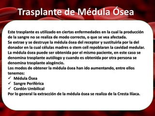 Trasplante de Médula Ósea
Este trasplante es utilizado en ciertas enfermedades en la cual la producción
de la sangre no se realiza de modo correcto, o que se vea afectada.
Se extrae y se destruye la médula ósea del receptor y sustituirla por la del
donador en la cual células madres o stem cell repoblaran la cavidad medular.
La médula ósea puede ser obtenida por el mismo paciente, en este caso se
denomina trasplante autólogo y cuando es obtenida por otra persona se
denomina trasplante alogéncio.
Los modos de obtener la médula ósea han ido aumentando, entre ellos
tenemos:
 Médula Ósea
 Sangre Periférica
 Cordón Umbilical
Por lo general la extracción de la médula ósea se realiza de la Cresta Ilíaca.
 