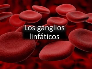 Los ganglios
linfáticos
 