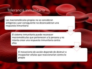 Tolerancia inmunitaria
Las macromoléculas propias no se consideran
antígenos y por consiguiente no desencadenan una
respuesta inmunitaria
El sistema inmunitario puede reconocer
macromoléculas que pertenecen a la persona y no
intenta crear una respuesta inmunitaria contra
ellas
El mecanismo de acción depende de destruir o
incapacitar células que reaccionarían contra lo
propio
 