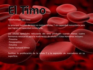 Histofisiología del Timo:
La principal función del timo es instruir células T sin capacidad inmunitaria para
que logren su capacidad inmunitaria.
Las células epiteliales reticulares del timo producen cuando menos cuatro
hormonas necesarias para la maduración de células T. Estas hormonas incluyen:
-Timosina
-Timopoyetina
-Timulina
-Factor humoral tímico
Facilitan la proliferación de la célula T y la expresión de marcadores en su
superficie.
 
