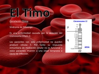 Correlación Clínica
Síndrome de DiGeorge:
Es una enfermedad causada por la deleción del
cromosoma 22q11.2.
Los pacientes con esta enfermedad no pueden
producir células T. Por tanto su respuesta
inmunitaria de mediación celular no es funcional y
estos pacientes mueren a una edad temprana a
causa de infección.
 