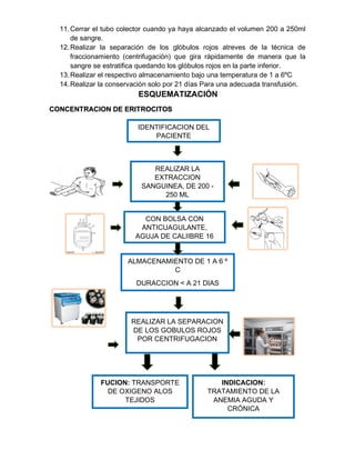 11.Cerrar el tubo colector cuando ya haya alcanzado el volumen 200 a 250ml
de sangre.
12.Realizar la separación de los glóbulos rojos atreves de la técnica de
fraccionamiento (centrifugación) que gira rápidamente de manera que la
sangre se estratifica quedando los glóbulos rojos en la parte inferior.
13.Realizar el respectivo almacenamiento bajo una temperatura de 1 a 6ºC
14.Realizar la conservación solo por 21 días Para una adecuada transfusión.
ESQUEMATIZACIÓN
CONCENTRACION DE ERITROCITOS
IDENTIFICACION DEL
PACIENTE
REALIZAR LA
EXTRACCION
SANGUINEA, DE 200 -
250 ML
CON BOLSA CON
ANTICUAGULANTE,
AGUJA DE CALIIBRE 16
ALMACENAMIENTO DE 1 A 6 º
C
DURACCION < A 21 DIAS
FUCION: TRANSPORTE
DE OXIGENO ALOS
TEJIDOS
INDICACION:
TRATAMIENTO DE LA
ANEMIA AGUDA Y
CRÓNICA
REALIZAR LA SEPARACION
DE LOS GOBULOS ROJOS
POR CENTRIFUGACION
 
