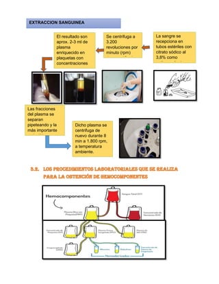 La sangre se
recepciona en
tubos estériles con
citrato sódico al
3,8% como
anticoagulante
Se centrifuga a
3.200
revoluciones por
minuto (rpm)
durante 15 min.
El resultado son
aprox. 2-3 ml de
plasma
enriquecido en
plaquetas con
concentraciones
variables
Dicho plasma se
centrifuga de
nuevo durante 8
min a 1.800 rpm,
a temperatura
ambiente.
Las fracciones
del plasma se
separan
pipeteando y la
más importante
es la última
fracción
EXTRACCION SANGUINEA
 