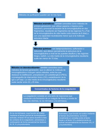 Métodos de purificación pueden ser de tres tipos :
Métodos enzimáticos, también conocidos como métodos de
primera generación, que utilizan pepsina o tripsina como
reactivos y provocan la escisión de la inmunoglobulina en dos
fragmentos, resultando así fragmentos de las regiones Fc y Fab
de la inmunoglobulina de vida media corta (menos de 8 días) y
con una capacidad neutralizante menor que si la molécula
estuviera intacta
Métodos químicos, con betapropiolactona, sulfonación o
reducción, que alteran parcialmente la estructura de la
inmunoglobulina a nivel de los puentes disulfuro y las regiones
hinge y switch. La vida media de la inmunoglobulina resultante
suele ser menor de 15 días.
Métodos no desnaturalizantes, también conocidos como
métodos de tercera generación, que no alteran la molécula de
inmunoglobulina e incluyen varios métodos, entre los que
destacan la diafiltración, precipitación con polietilenglicol (PEG),
cromatografía de intercambio iónico (CII) y estabilización de la
IgG a pH bajo. La vida media de la inmunoglobulina resultante
suele oscilar entre 22 y 25 días.
Concentrados de factores de la coagulación
La coagulación consiste en una serie de reacciones que
conducen a la formación de un coágulo de fibrina y consta de
dos vías distintas, la vía intrínseca y la extrínseca.
En la vía intrínseca, cuya función se evalúa
mediante el tiempo parcial de tromboplastina
activada, el factor XII se activa durante la fase
de contacto de la coagulación, activándose a
continuación de forma secuencial los factores
XI, IX, X y la protrombina
Extrínseca, cuya función se evalúa mediante
el tiempo de protrombina, se forma
inicialmente un complejo entre el factor
tisular y el factor VII y posteriormente se
activan secuencialmente los factores VII y X
y la protrombina.
 