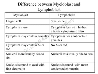 Difference between Myeloblast and
Lymphoblast
Myeloblast Lymphoblast
Larger cell Smaller cell
Cytoplasm more Cytoplasm less with higher
nuclear cytoplasmic ratio
Cytoplasm may contain granules Cytoplasm does not contain
granules.
Cytoplasm may contain Auer
rod
No Auer rod
Nucleoli more usually two to
six.
Nucleoli less usually one to two.
Nucleus is round to oval with
fine chromatin
Nucleus is round with more
condensed chromatin.
 